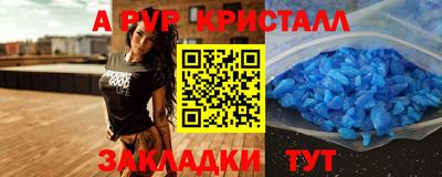 гашик Донской